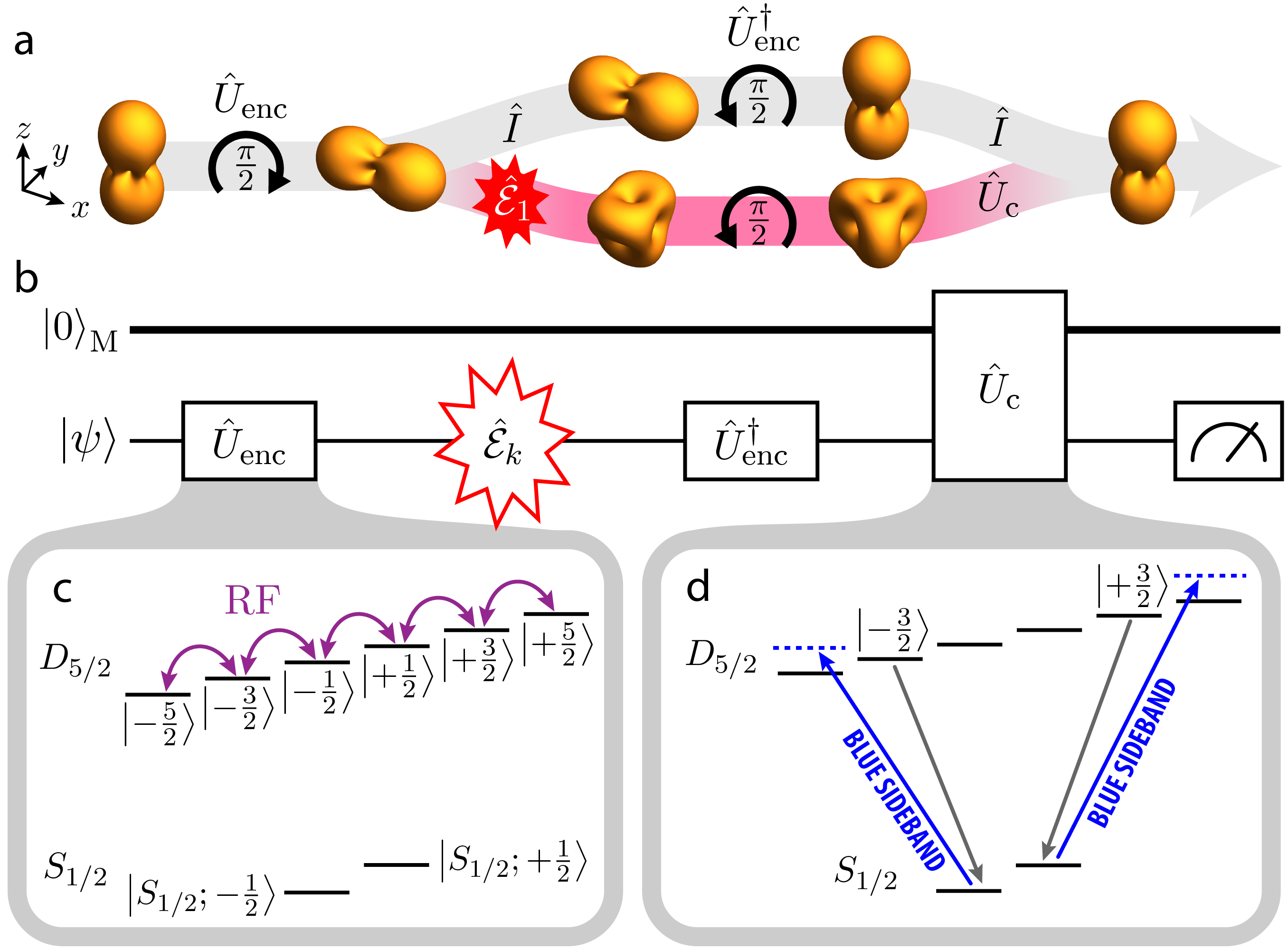 Schematic of trapped-ion qudit error correction showing spin-cat encoding, circuit diagram with encoding, error, decoding, and correction, plus D5/2 energy levels coupled by RF and blue sideband transitions to S1/2 states.